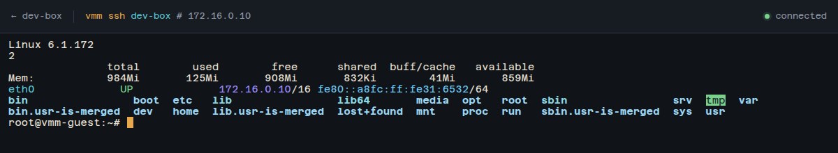 vmm-web in-browser terminal connected to a VM showing kernel version, memory and network interface